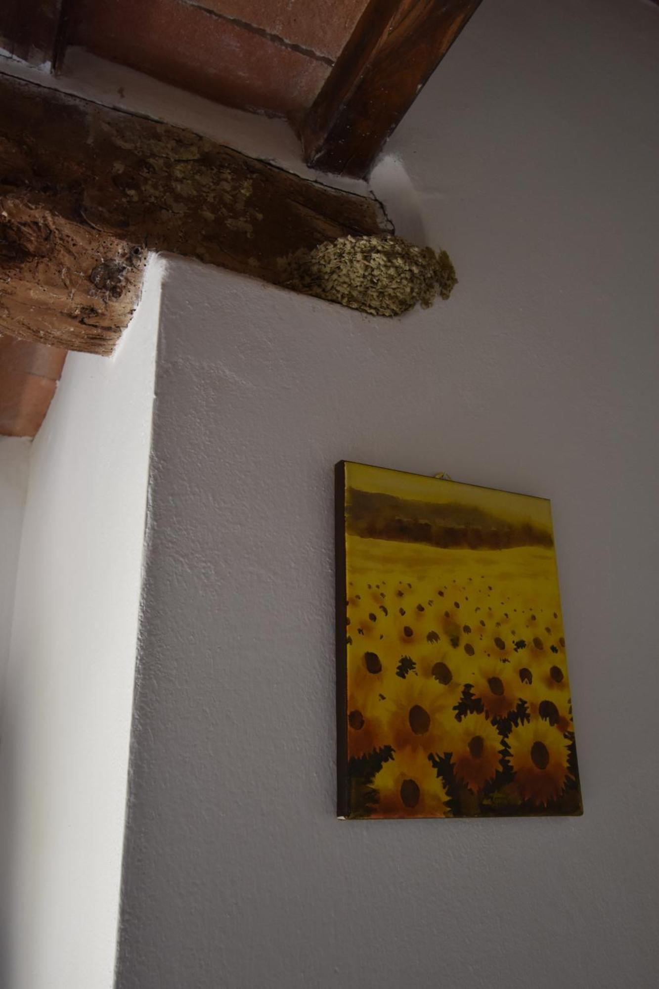 Borgo Mulignone Casole dʼElsa Zewnętrze zdjęcie