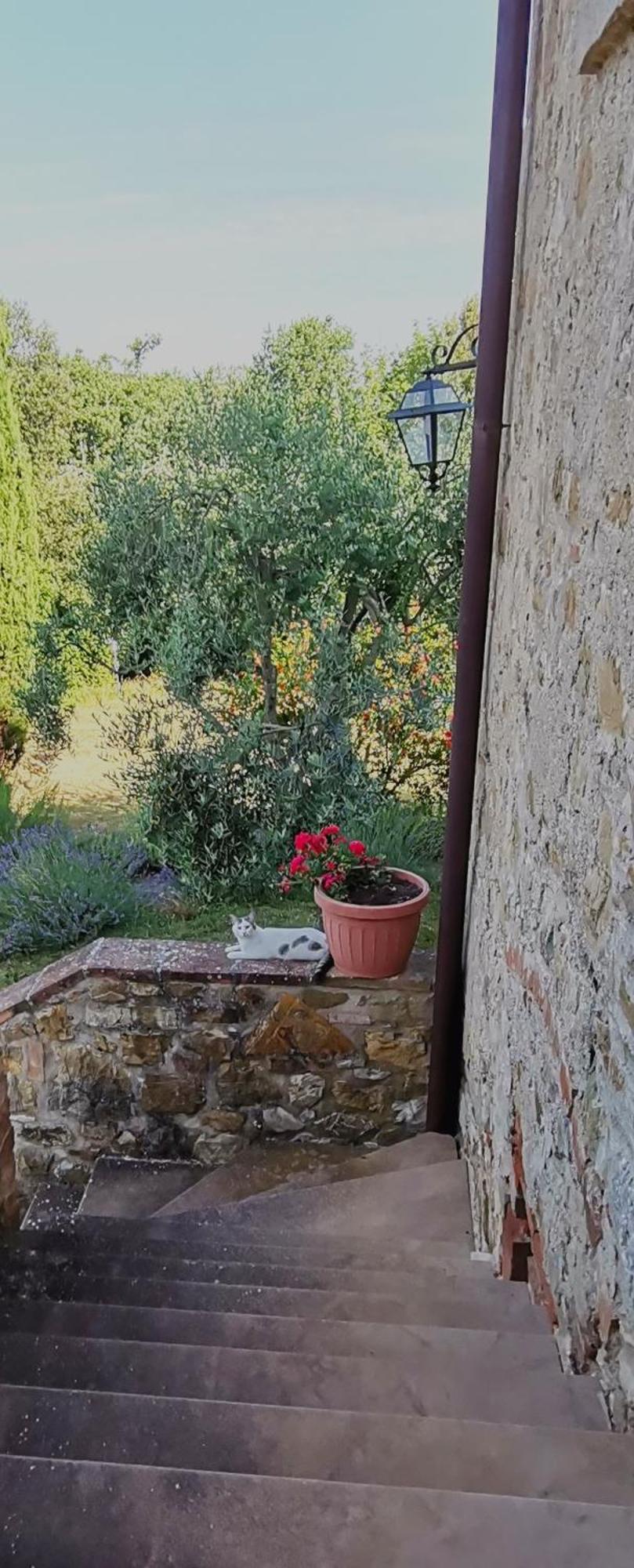 Borgo Mulignone Casole dʼElsa Pokój zdjęcie